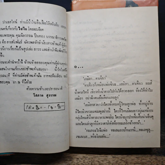 ความลับบนแหลมไซไน 2 เล่มจบ - โสภาค สุวรรณ รูปที่ 7