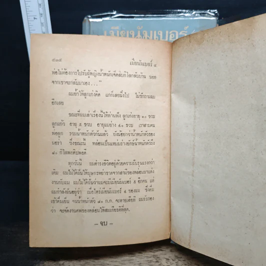 เมียนัมเบอร์4 2 เล่มจบ - รพีพร รูปที่ 9