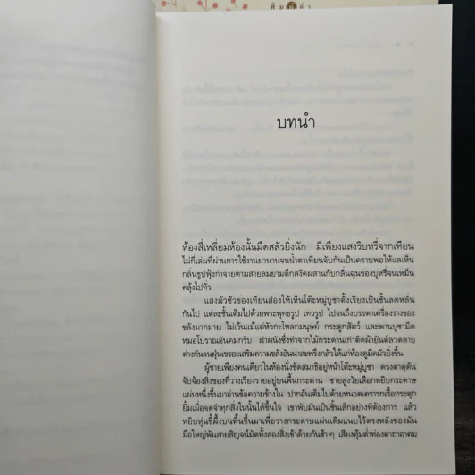 นิยายชุด บ้านไร่ปลายฝัน 3 เล่ม ธาราหิมาลัย, ปฐพีเล่ห์รัก, วายุภัคมนตรา - ณารา, ร่มแก้ว รูปที่ 6