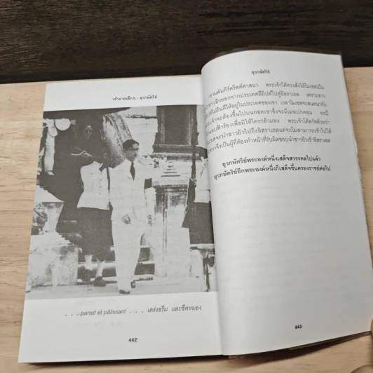 เจ้านายเล็กๆ ยุวกษัตริย์ - กัลยาณิวัฒนา รูปที่ 9