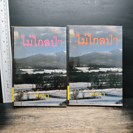 ไม้ไกลป่า 2 เล่มจบ - พัดชา รูปที่ 1