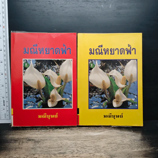 มณีหยาดฟ้า 2 เล่มจบ - มณีบุษย์ รูปที่ 1