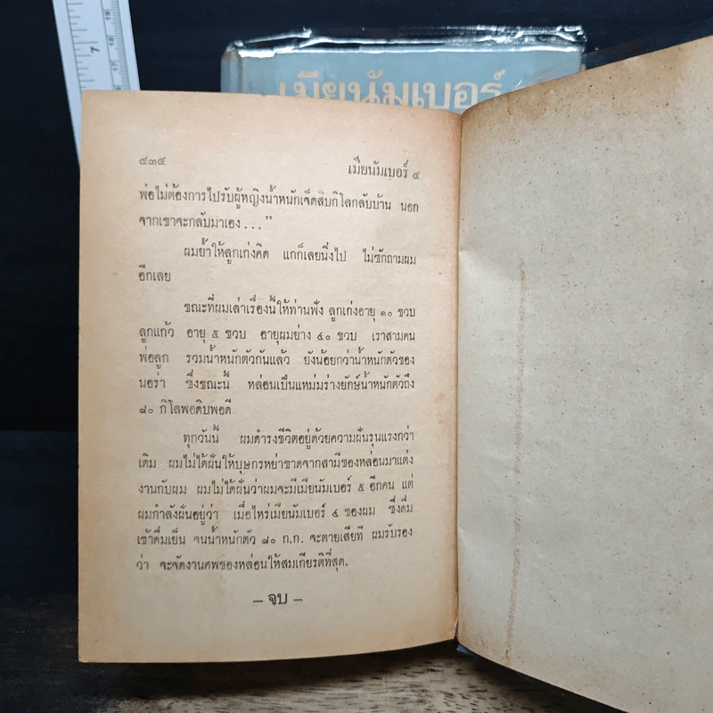 เมียนัมเบอร์4 2 เล่มจบ - รพีพร รูปที่ 9