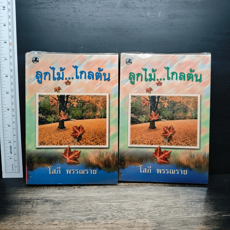 ลูกไม้ไกลต้น 2 เล่มจบ - โสภี พรรณราย รูปที่ 1