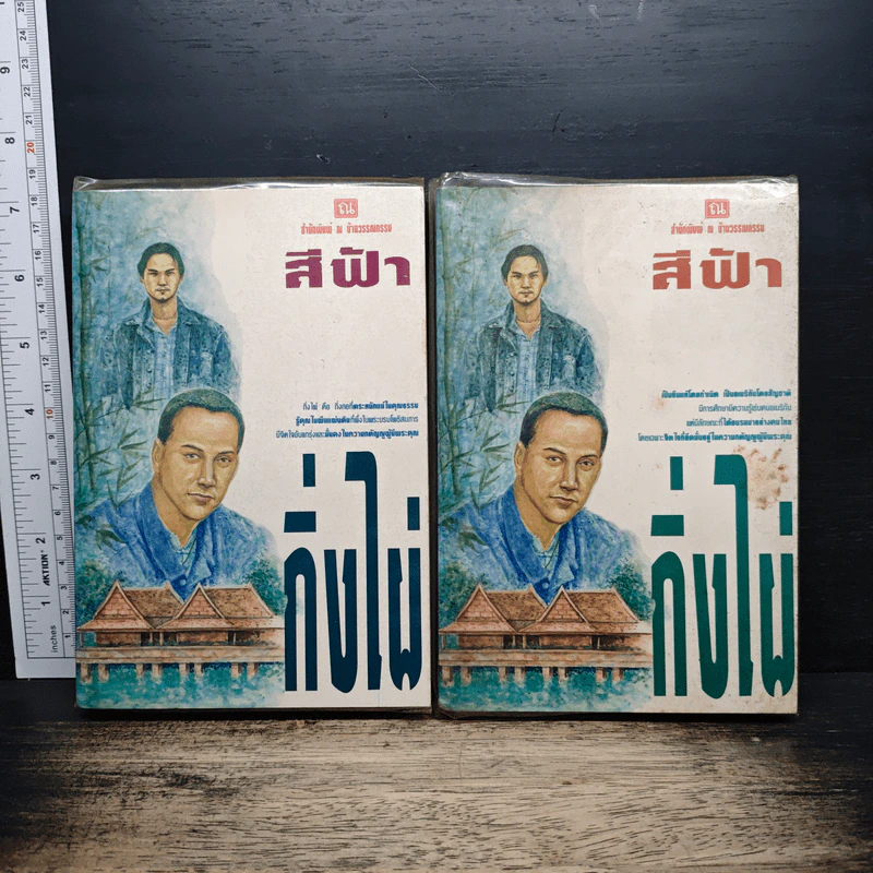 กิ่งไผ่ 2 เล่มจบ - สีฟ้า รูปที่ 1