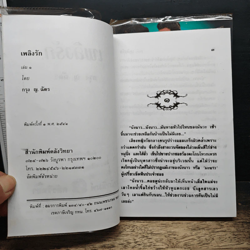 เพลิงรัก 2 เล่มจบ - กรุง ญ.ฉัตร รูปที่ 6