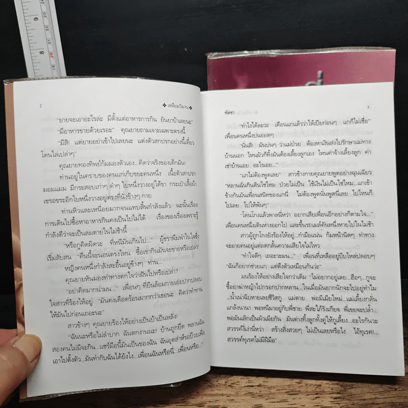 เหลี่ยมวิมาน 2 เล่มจบ - พัดชา รูปที่ 7