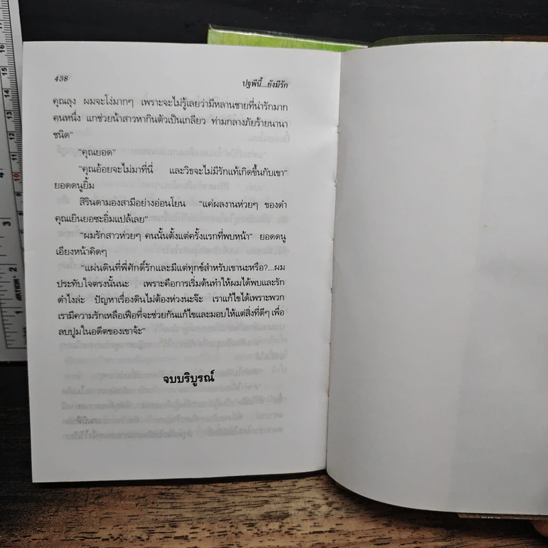 ปฐพีนี้ยังมีรัก 2 เล่มจบ - พัดชา รูปที่ 8