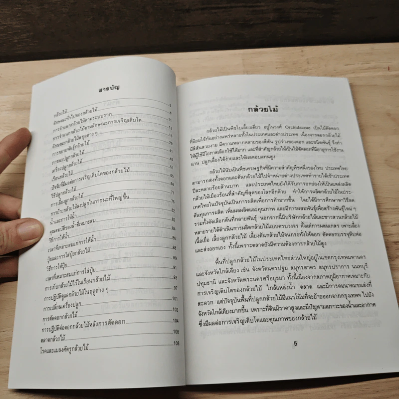 กล้วยไม้ - มลิวัลย์ พรหมรักษา รูปที่ 7