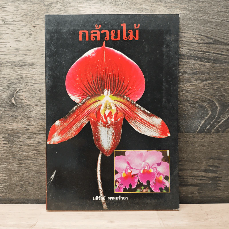 กล้วยไม้ - มลิวัลย์ พรหมรักษา รูปที่ 1