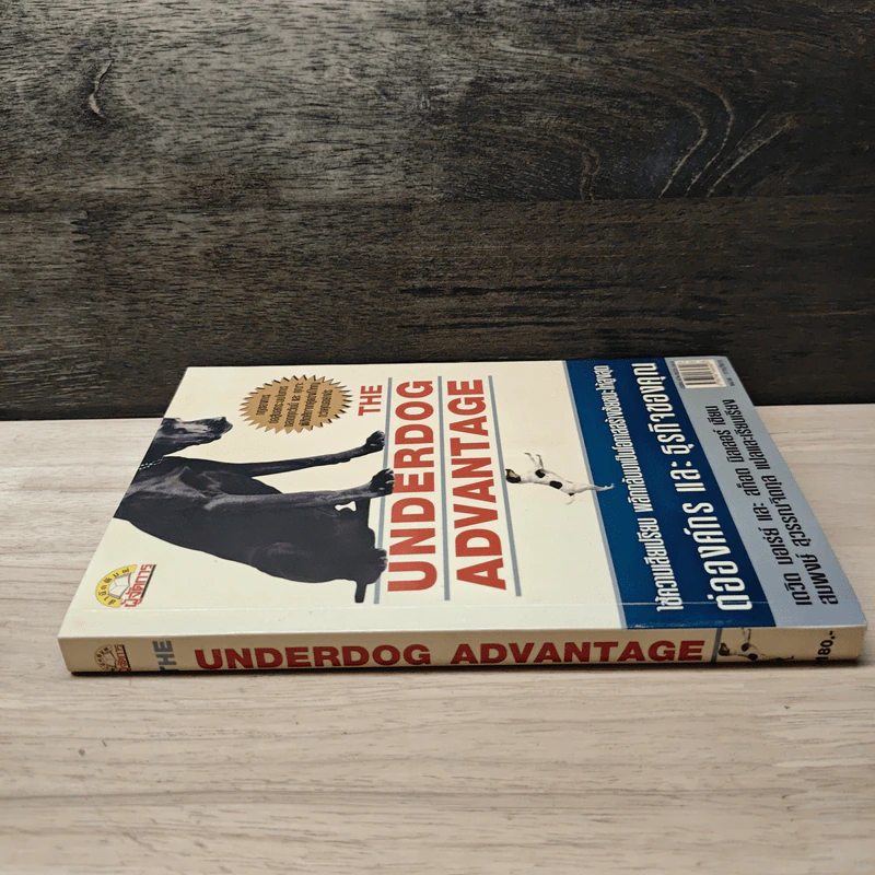 The Underdog Advantage ต่อองค์กรและธุรกิจของคุณ - เดวิด บอเร่ย์ รูปที่ 2