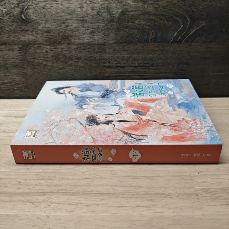 ชิงชิง ยอดรักเจ้าชะตา เล่ม 1 - Xin Yong Ka รูปที่ 2