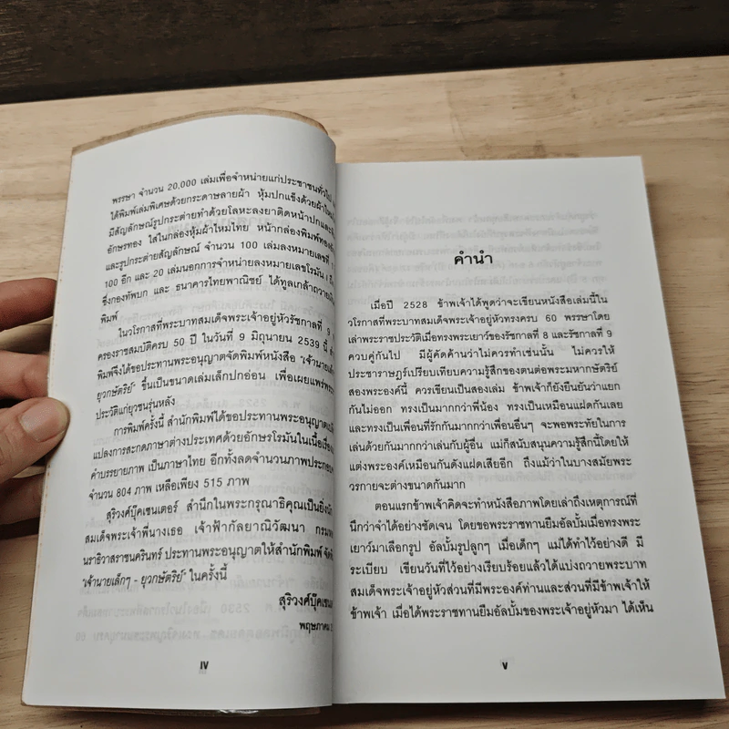 เจ้านายเล็กๆ ยุวกษัตริย์ - กัลยาณิวัฒนา รูปที่ 7