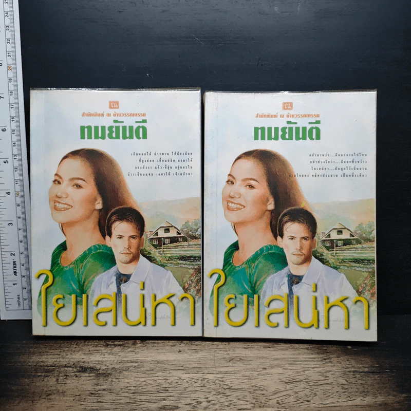 ใยเสน่หา 2 เล่มจบ - ทมยันตี รูปที่ 1