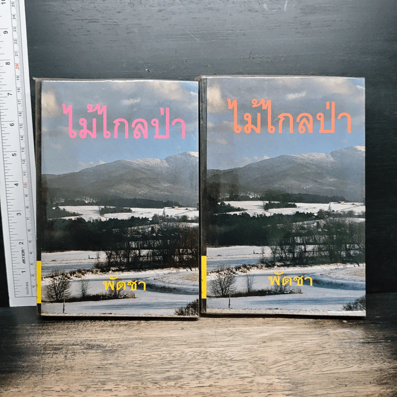 ไม้ไกลป่า 2 เล่มจบ - พัดชา รูปที่ 1
