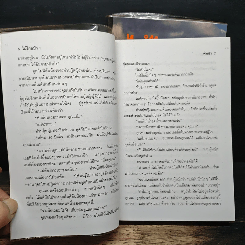 ไม้ไกลป่า 2 เล่มจบ - พัดชา รูปที่ 7