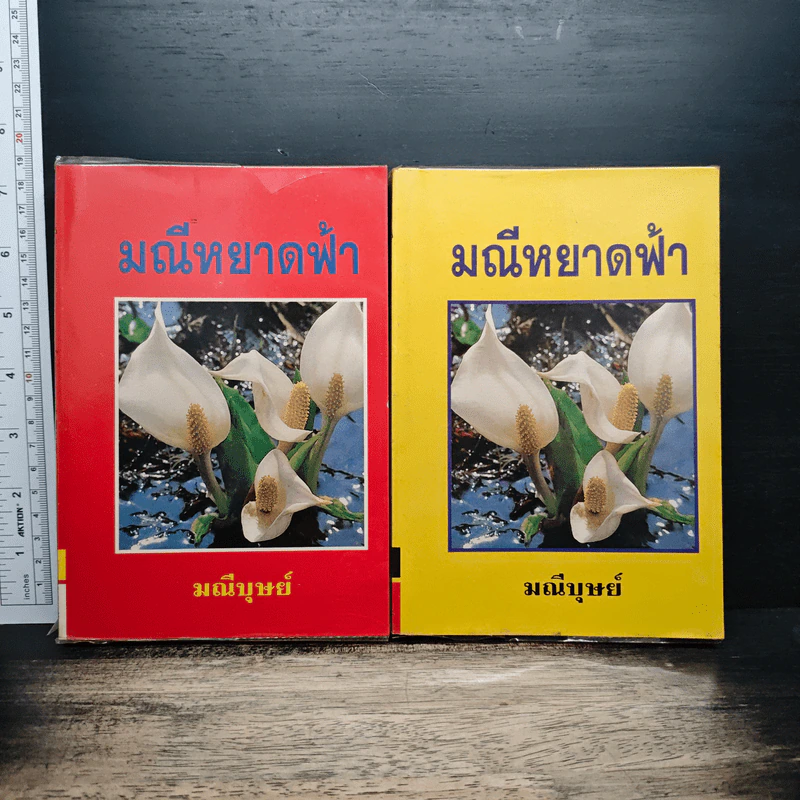 มณีหยาดฟ้า 2 เล่มจบ - มณีบุษย์ รูปที่ 1