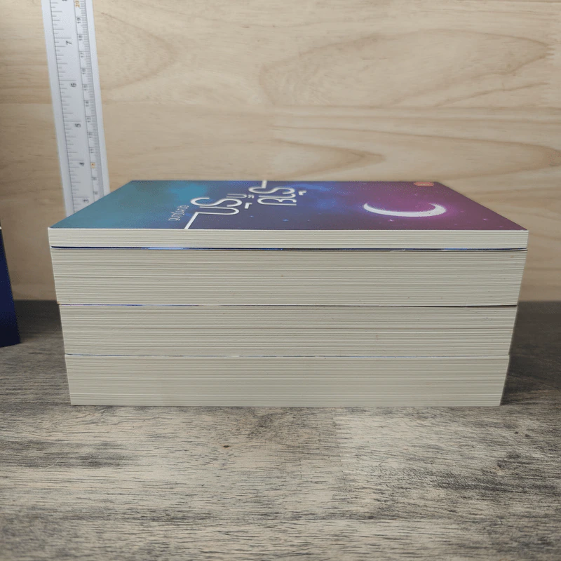 ฺBoxset ร้ายก็รัก 4 เล่ม - อุณหภูมิปกติ รูปที่ 8
