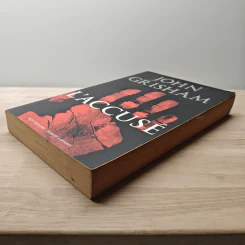 L'accusé - John Grisham รูปที่ 3