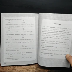 พิชิตคะแนนเต็ม! ข้อสอบ PAT 7.4 ภาษาจีน ฉบับคัมภีร์หลักภาษา รูปที่ 12