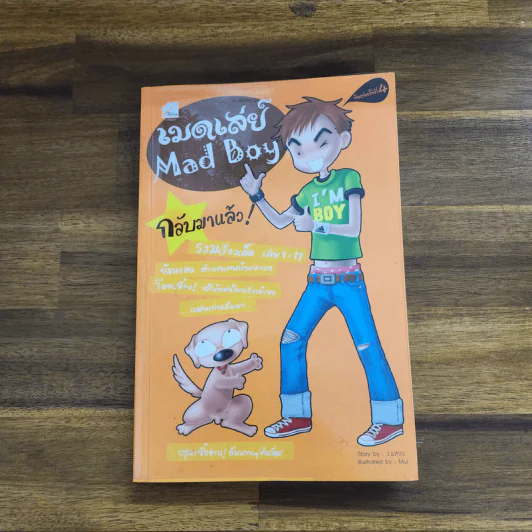 เมดเลย์ Mad Boy รูปที่ 1