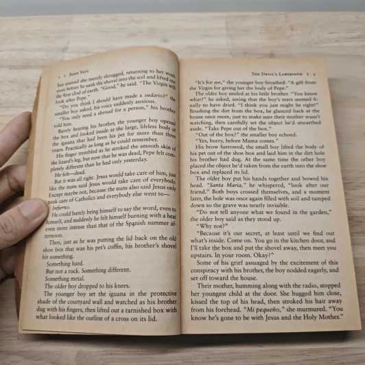 The Devil's Labyrinth - John Saul รูปที่ 6