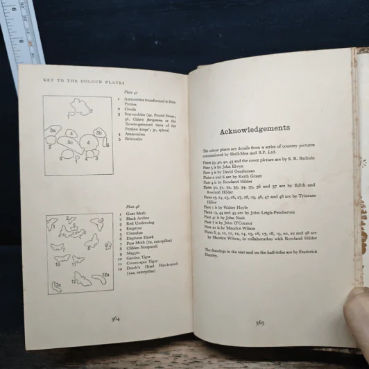 The Shell Country Book - Geoffrey Grigson รูปที่ 13