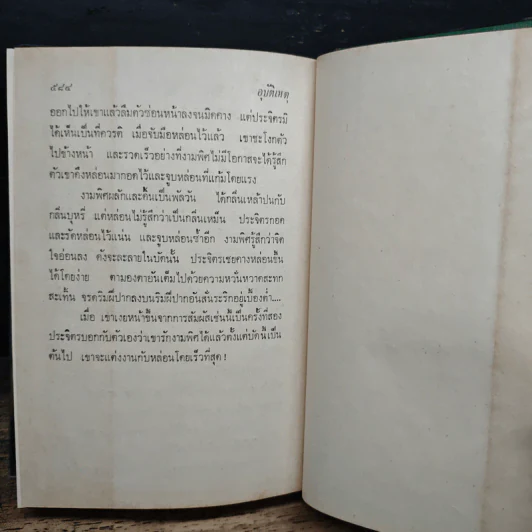 อุบัติเหตุ - ดอกไม้สด รูปที่ 9