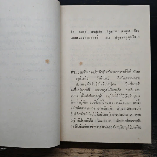 ชัยชนะของหลวงนฤบาล - ดอกไม้สด รูปที่ 7
