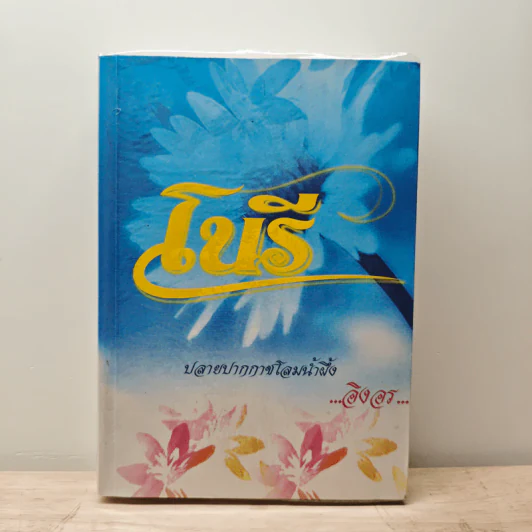 โนรี - อิงอร รูปที่ 1