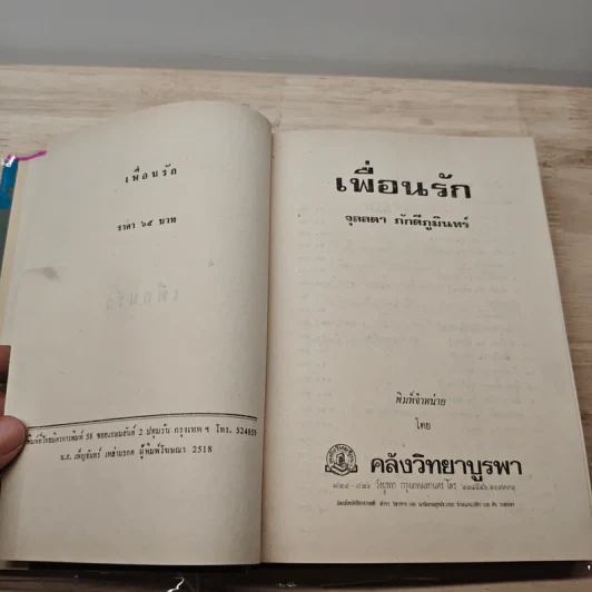 เพื่อนรัก - จุลลดา ภักดีภูมินทร์ รูปที่ 6