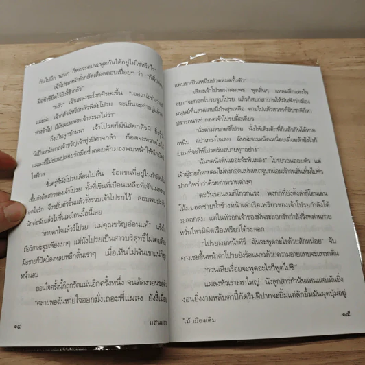 แสนแสบ - ไม้ เมืองเดิม รูปที่ 8