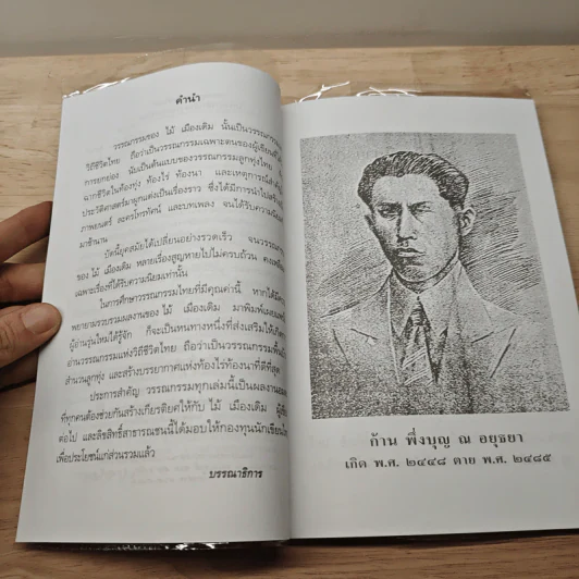 แสนแสบ - ไม้ เมืองเดิม รูปที่ 7