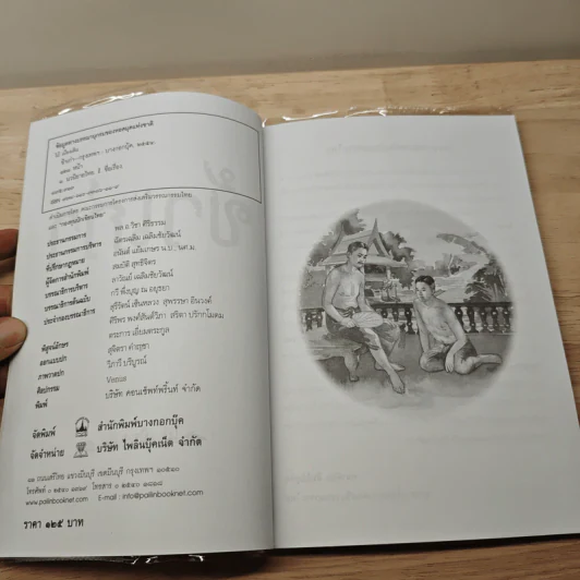 ข้าเก่า - ไม้ เมืองเดิม รูปที่ 6