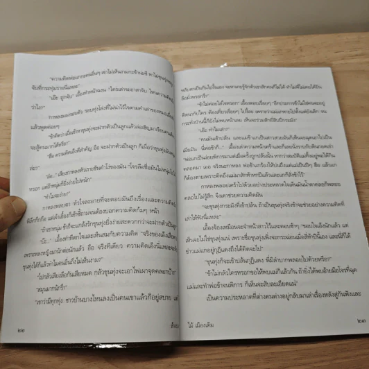 ล้างบาง - ไม้ เมืองเดิม รูปที่ 8