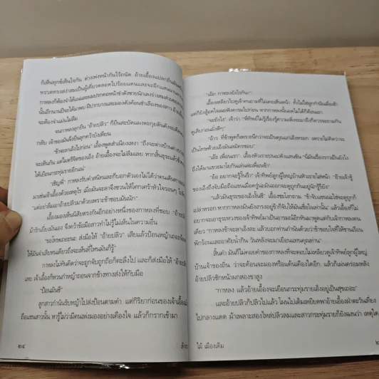 ล้างบาง - ไม้ เมืองเดิม รูปที่ 8
