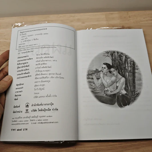 แผลเก่า - ไม้ เมืองเดิม รูปที่ 6