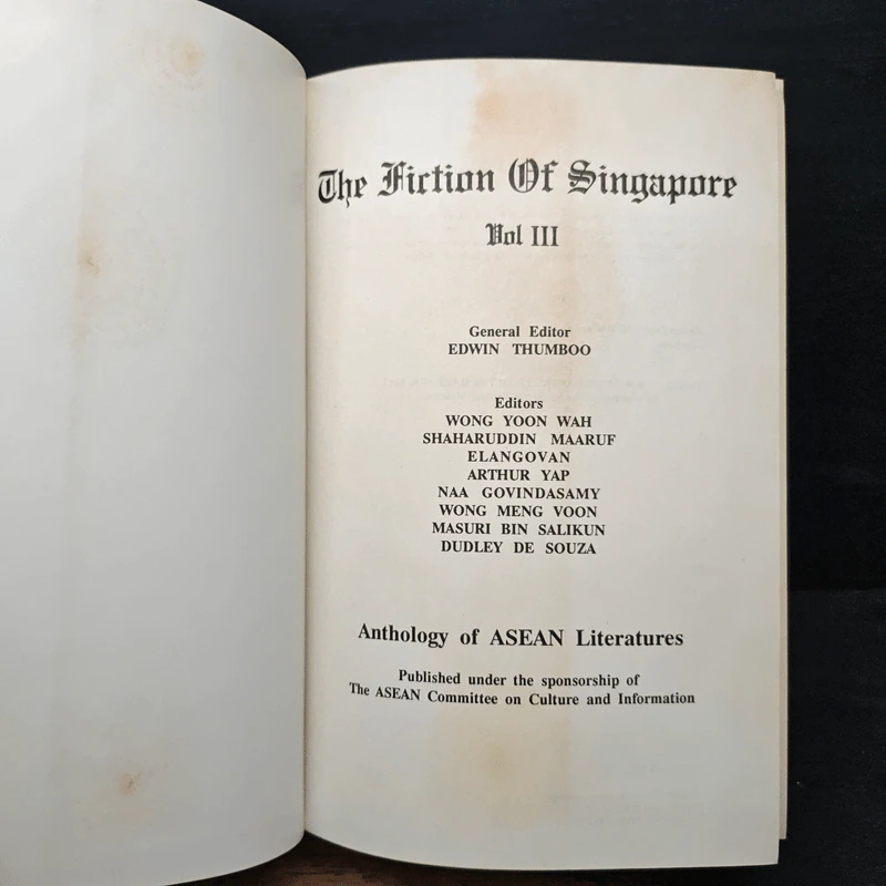 The Fiction of Singapore รูปที่ 6