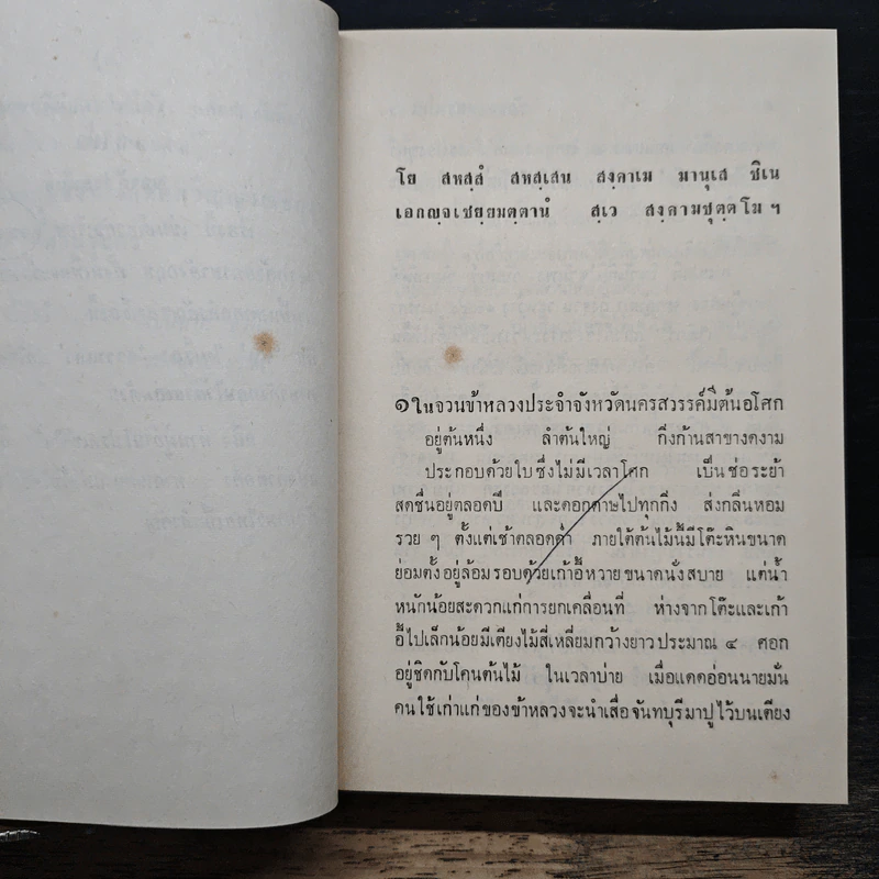 ชัยชนะของหลวงนฤบาล - ดอกไม้สด รูปที่ 7