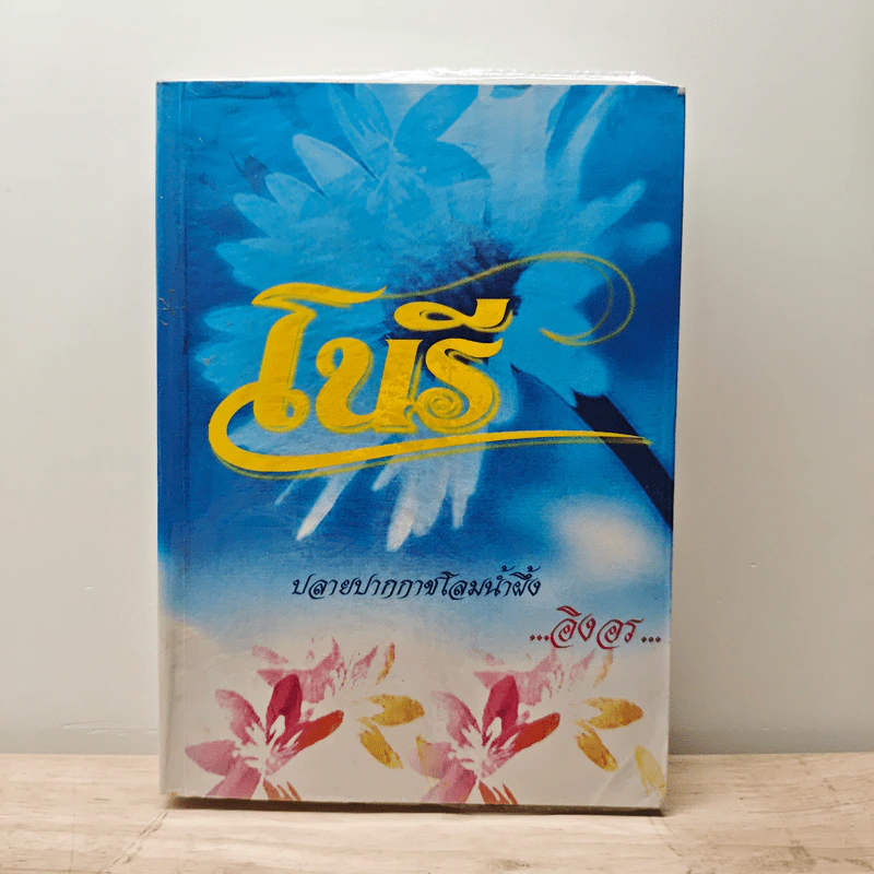 โนรี - อิงอร รูปที่ 1
