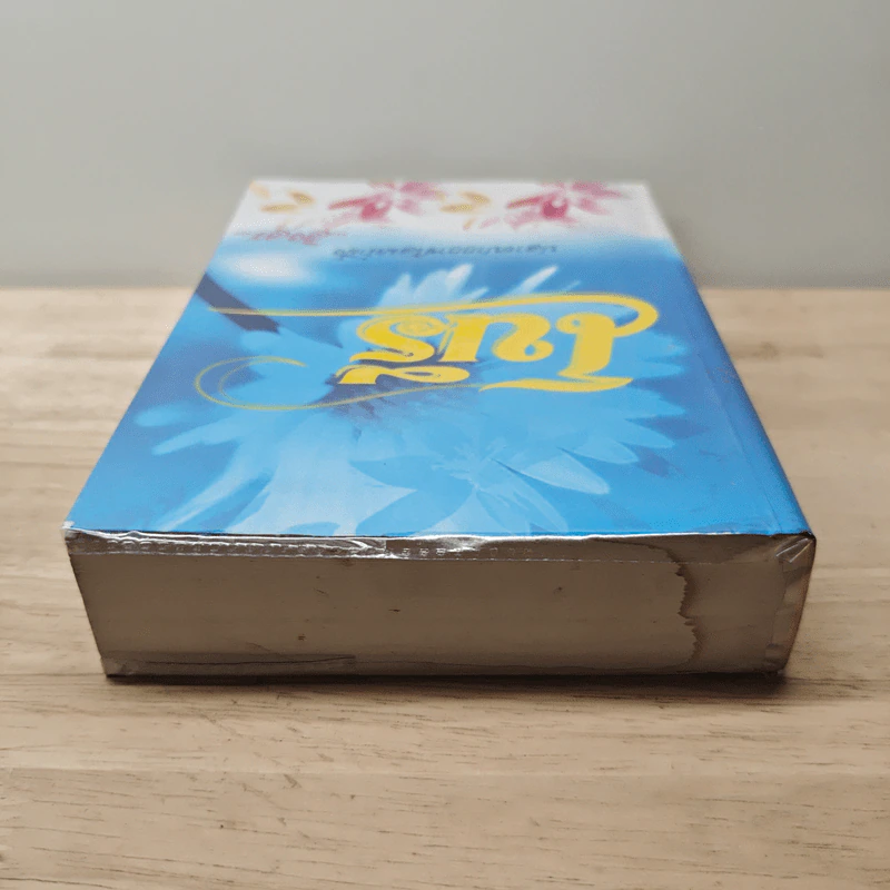 โนรี - อิงอร รูปที่ 4