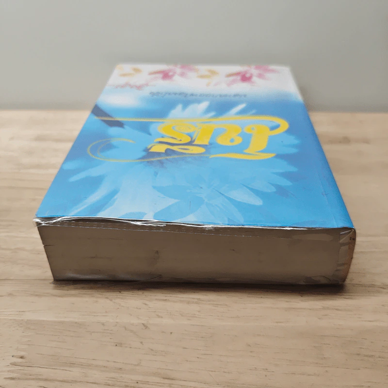 โนรี - อิงอร รูปที่ 4
