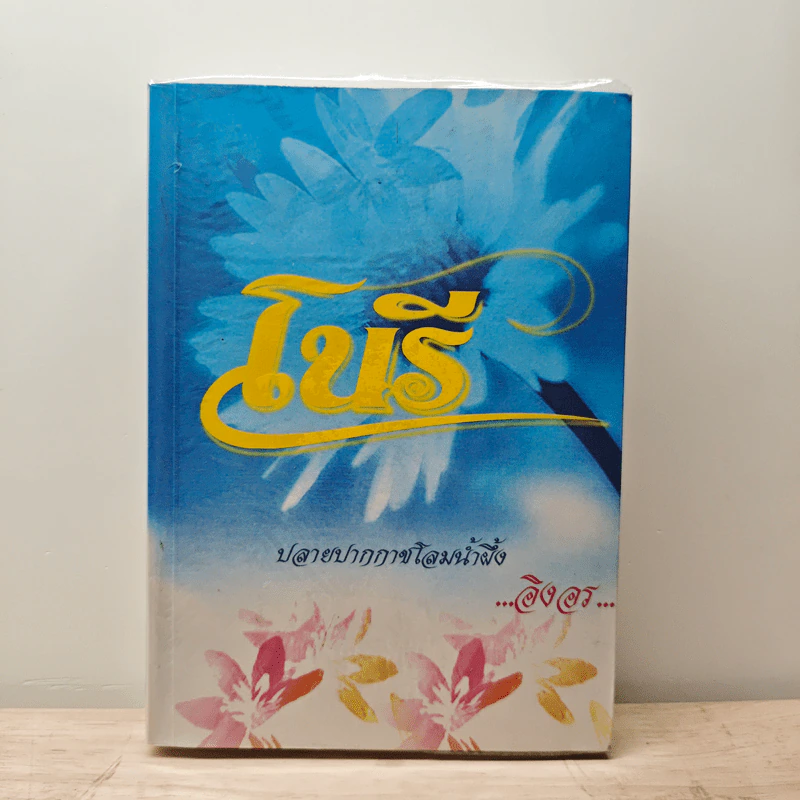 โนรี - อิงอร รูปที่ 1
