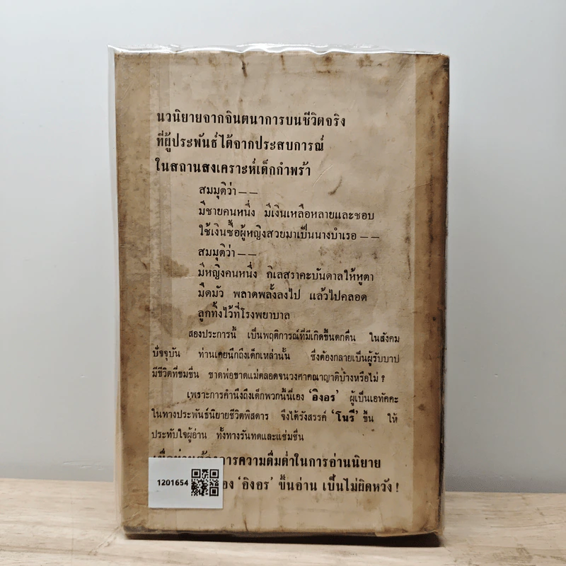 โนรี - อิงอร รูปที่ 5