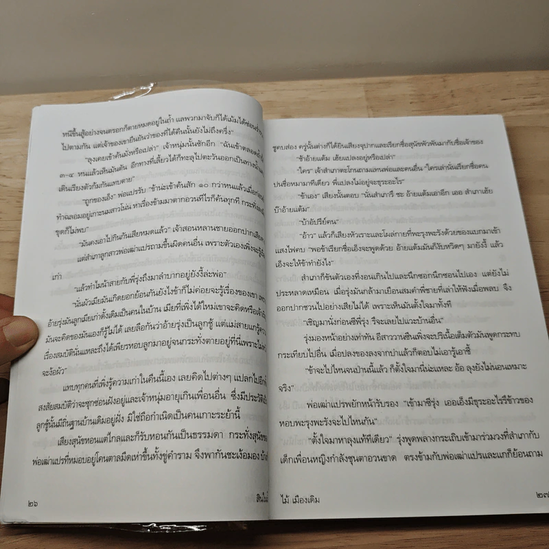 สินในน้ำ - ไม้ เมืองเดิม รูปที่ 8
