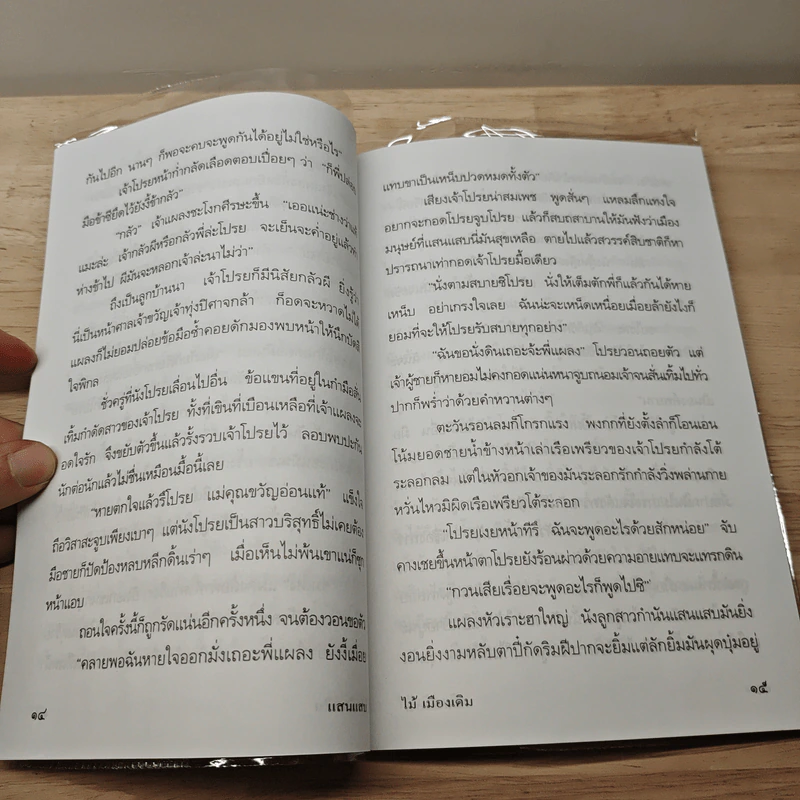 แสนแสบ - ไม้ เมืองเดิม รูปที่ 8