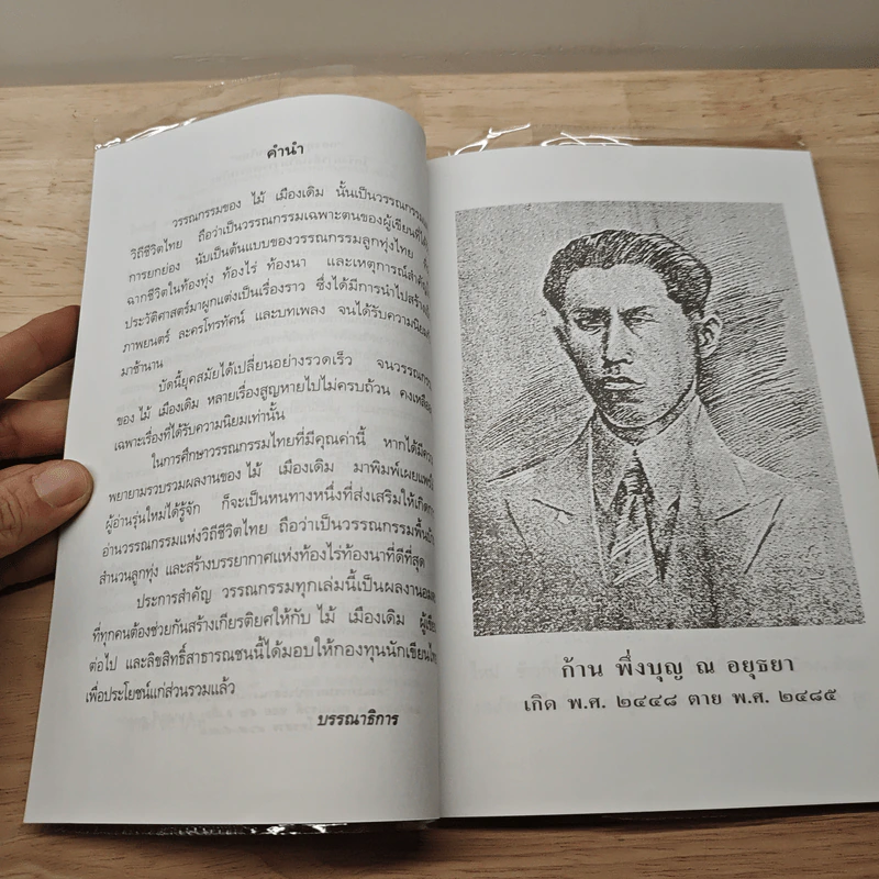 แสนแสบ - ไม้ เมืองเดิม รูปที่ 7