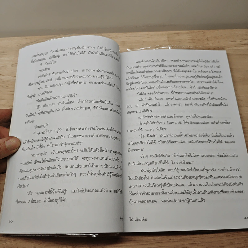 ข้าเก่า - ไม้ เมืองเดิม รูปที่ 8