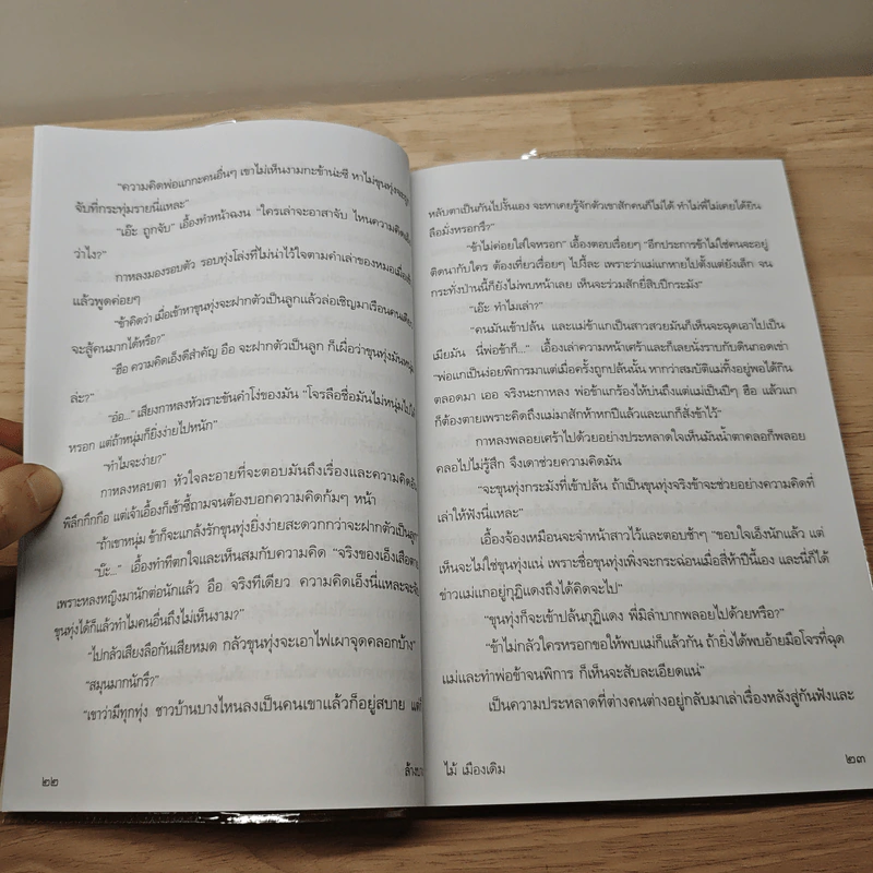 ล้างบาง - ไม้ เมืองเดิม รูปที่ 8