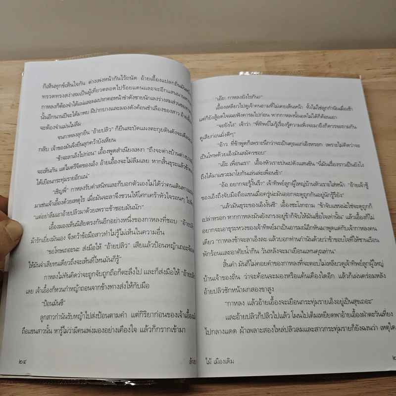 ล้างบาง - ไม้ เมืองเดิม รูปที่ 8